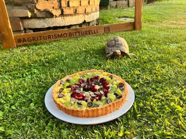 פונטי סול מינצ'יו Agriturismo Bitturelli מראה חיצוני תמונה