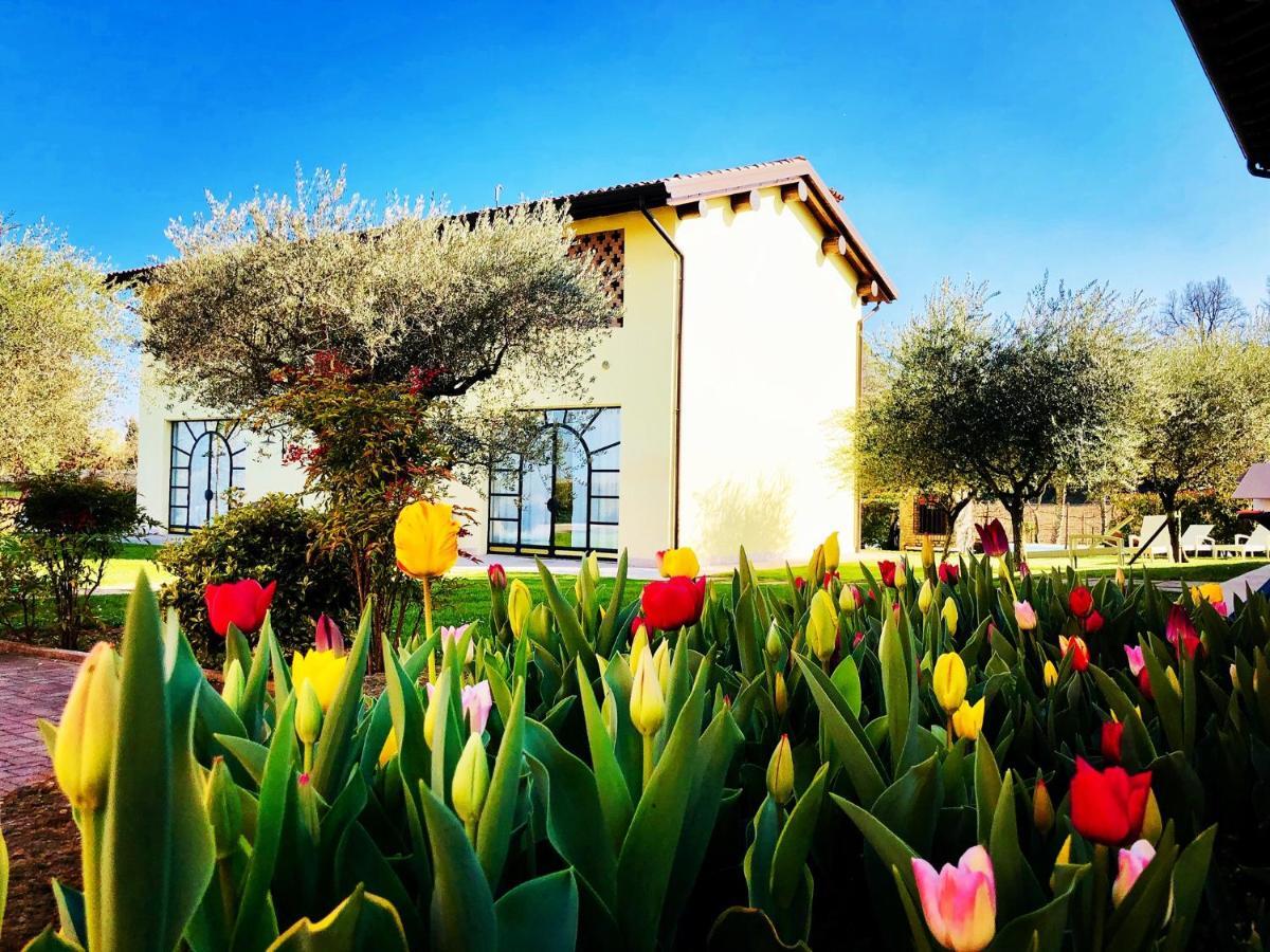 פונטי סול מינצ'יו Agriturismo Bitturelli מראה חיצוני תמונה